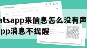 【whatsapp来信息怎么没有声音】whatsapp消息不提醒
